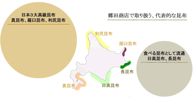 郷田商店の代表的な昆布　真昆布、羅臼昆布、利尻昆布　日高昆布、長昆布