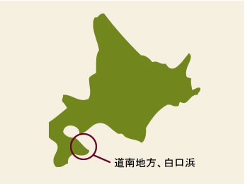 北海道白浜口